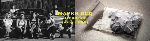 индика Верея
