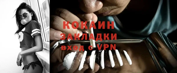 индика Верея