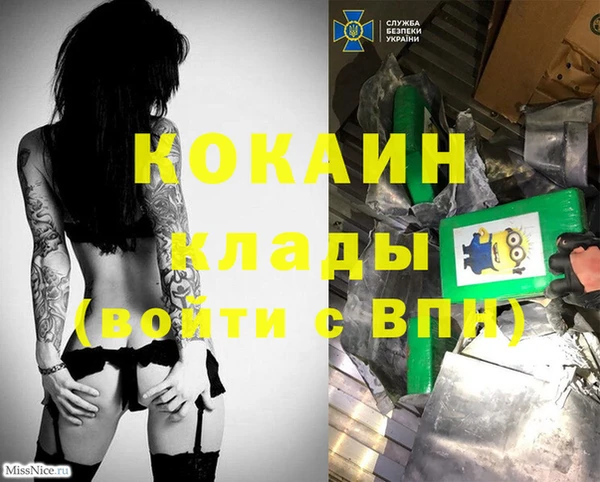 индика Верея