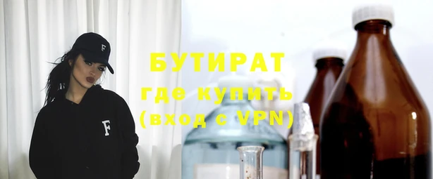 мдпв Бородино