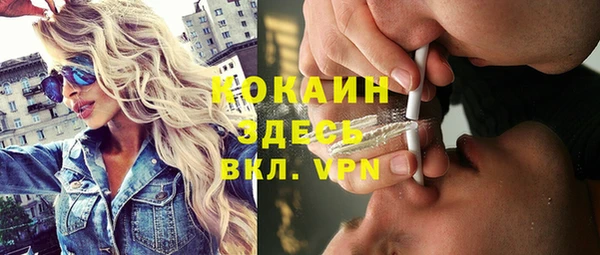 индика Верея