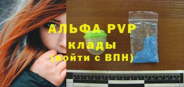 индика Верея