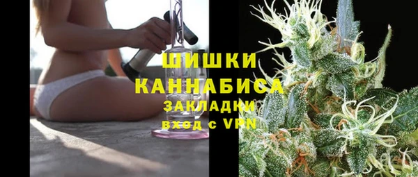 индика Верея