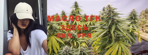 индика Верея