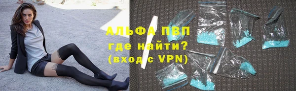 индика Верея