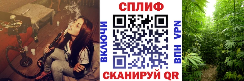 Шишки марихуана OG Kush  Купить закладки  Грайворон 